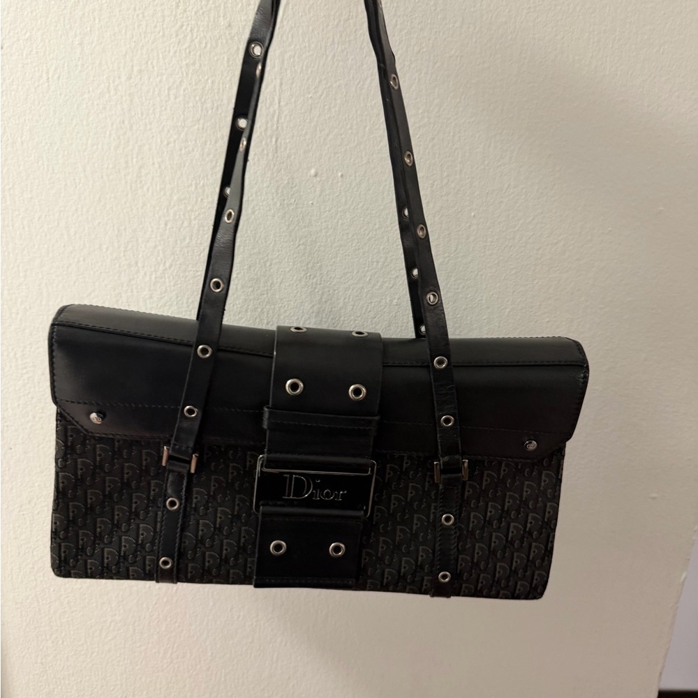 Dior street chic trotter purse